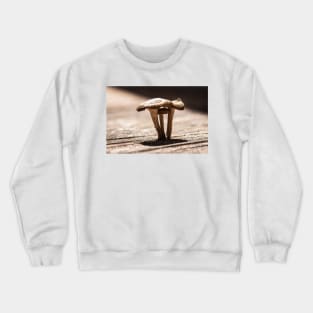 Fungal Light Crewneck Sweatshirt